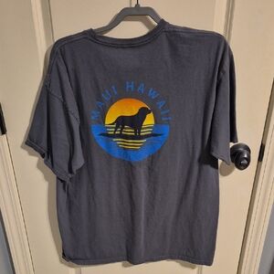 Maui Hawaii Gray Graphic T-Shirt